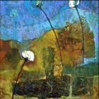 No name, Oil on Canvas 70x70cm, 2005